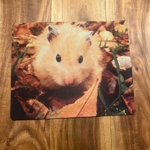 Hamster mousepad